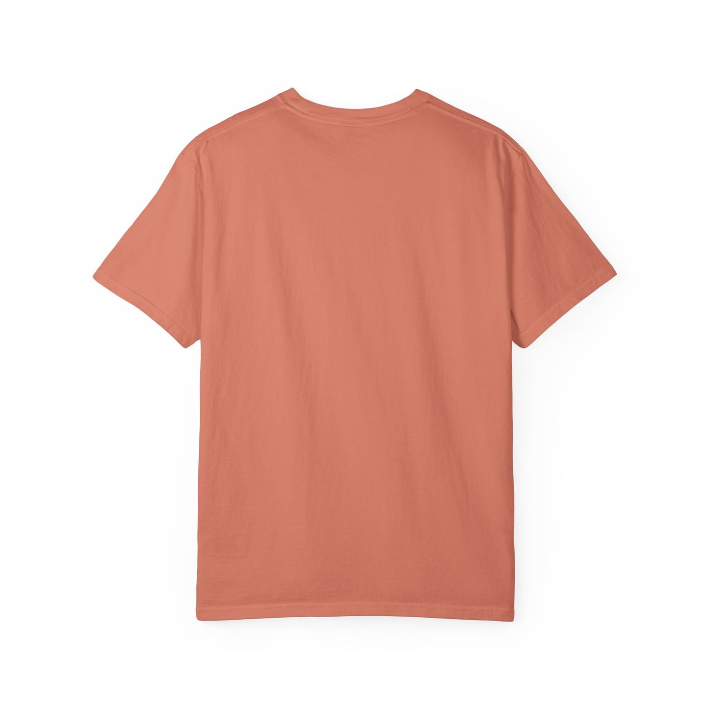 Cat Lover's Unisex T-Shirt - Comfort Colors Made in U.S.A.