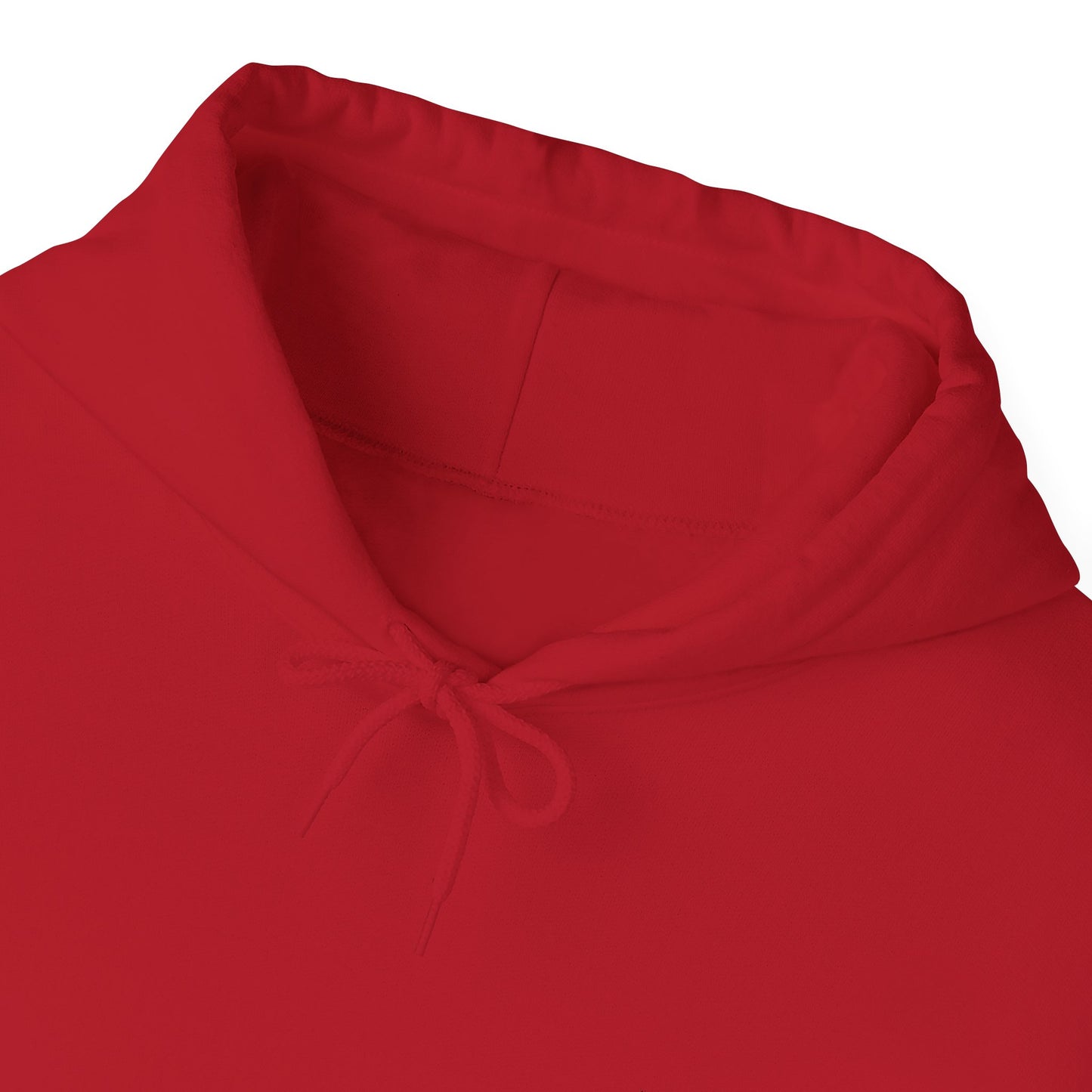 Armour of God Hoodie