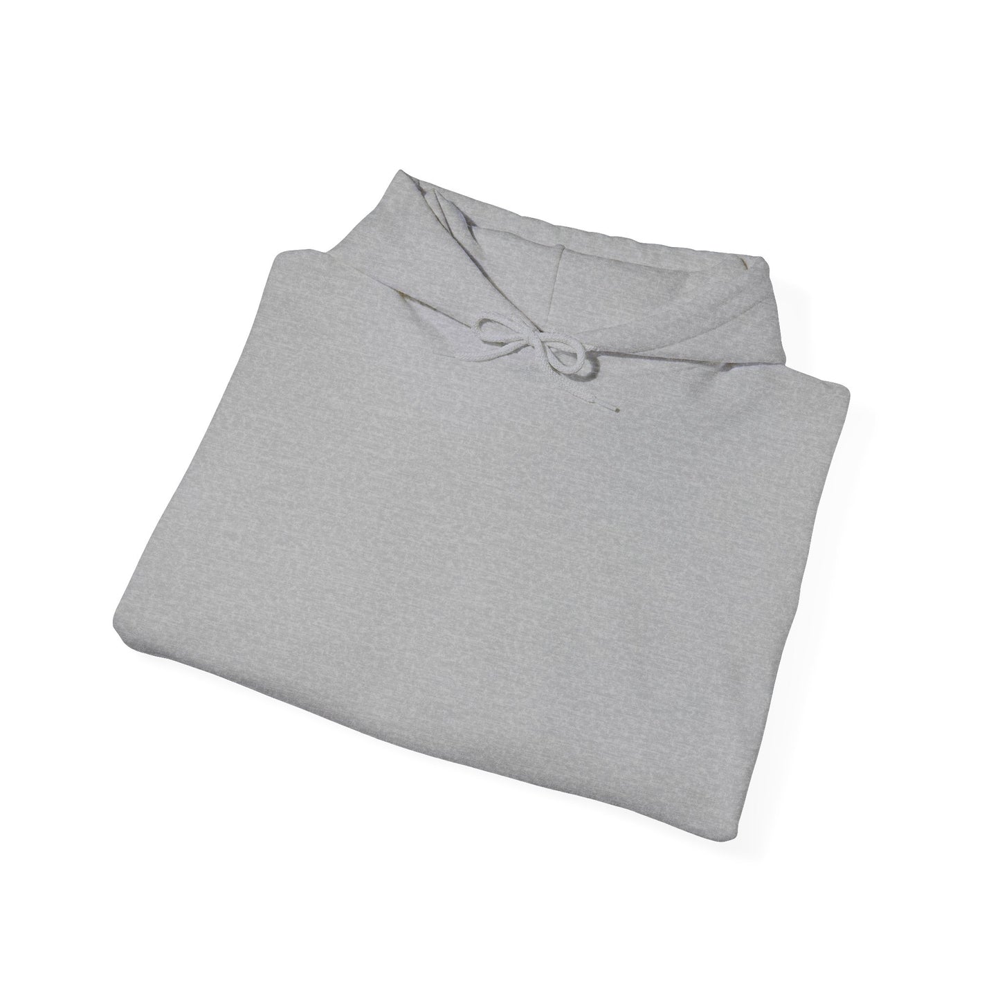 Armour of God Hoodie
