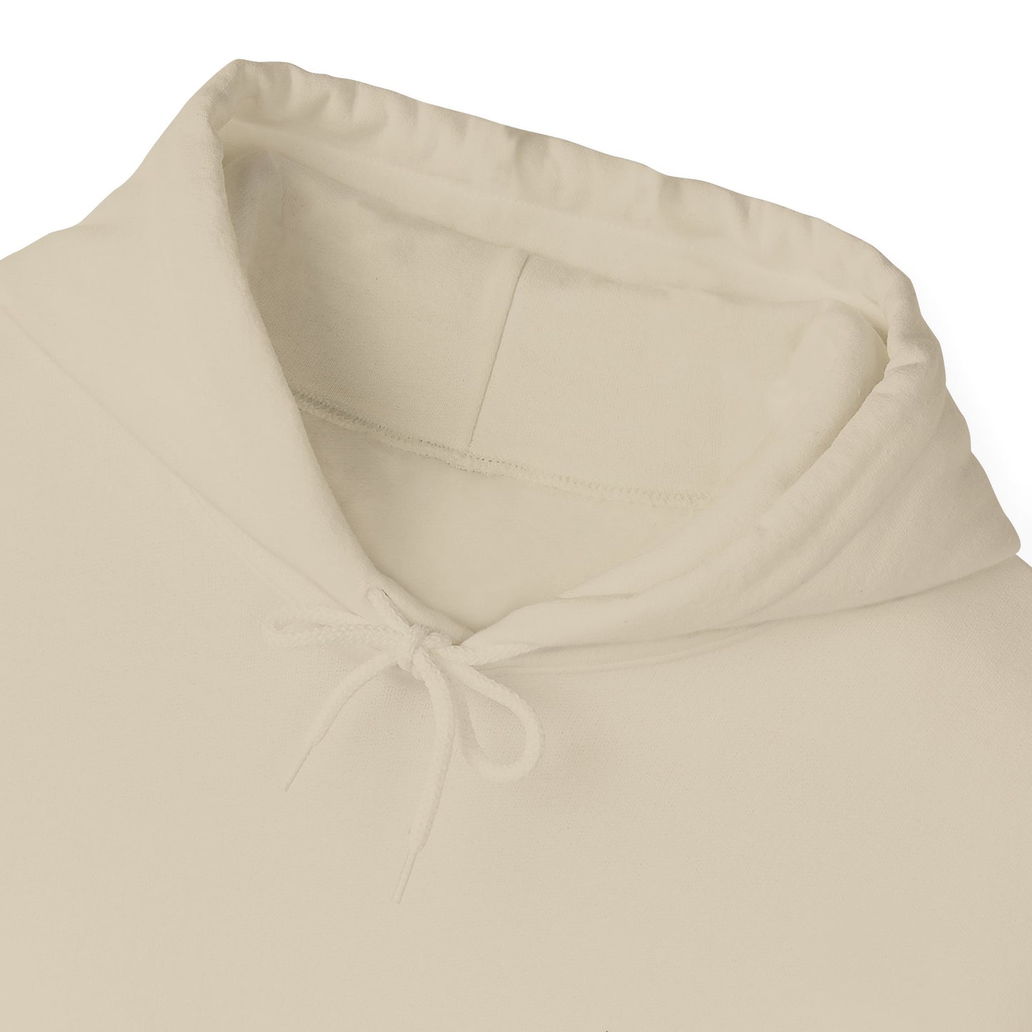 Armour of God Hoodie