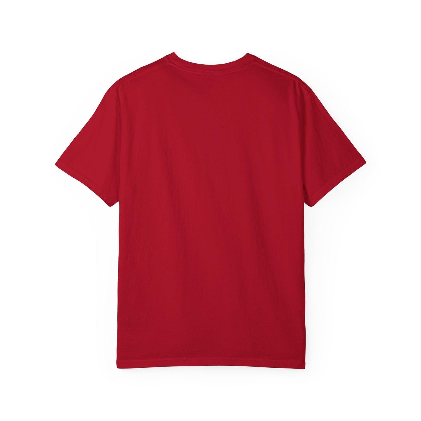 Cat Lover's Unisex  T-Shirt - Comfort Colors Made in U.S.A.